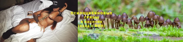 jwh Абаза