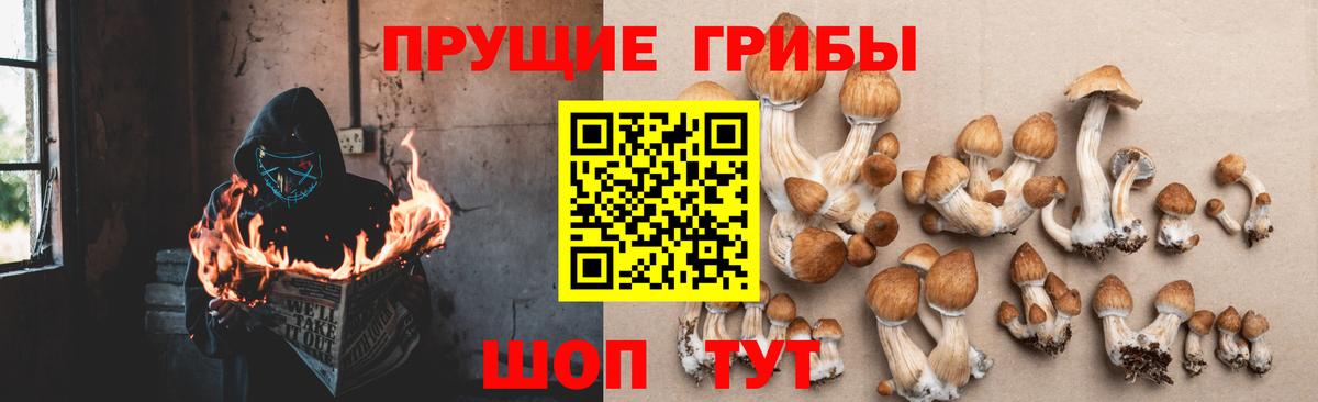 закладка  Псилоцибиновые грибы мухоморы  Галлюциногенные грибы GOLDEN TEACHER  Вход с VPN  Старая Купавна 